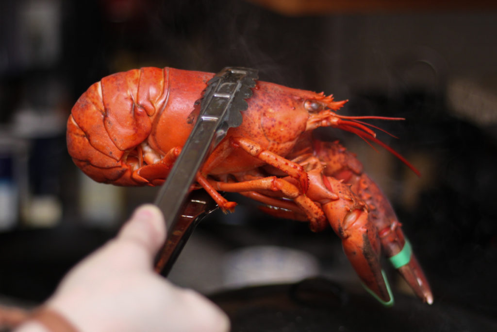 Seafood Recipes: Cooking a Live Lobster Humanely – Delicious fresh lobster dinner makes an interesting family activity that centers on where food comes from and exploring new flavors