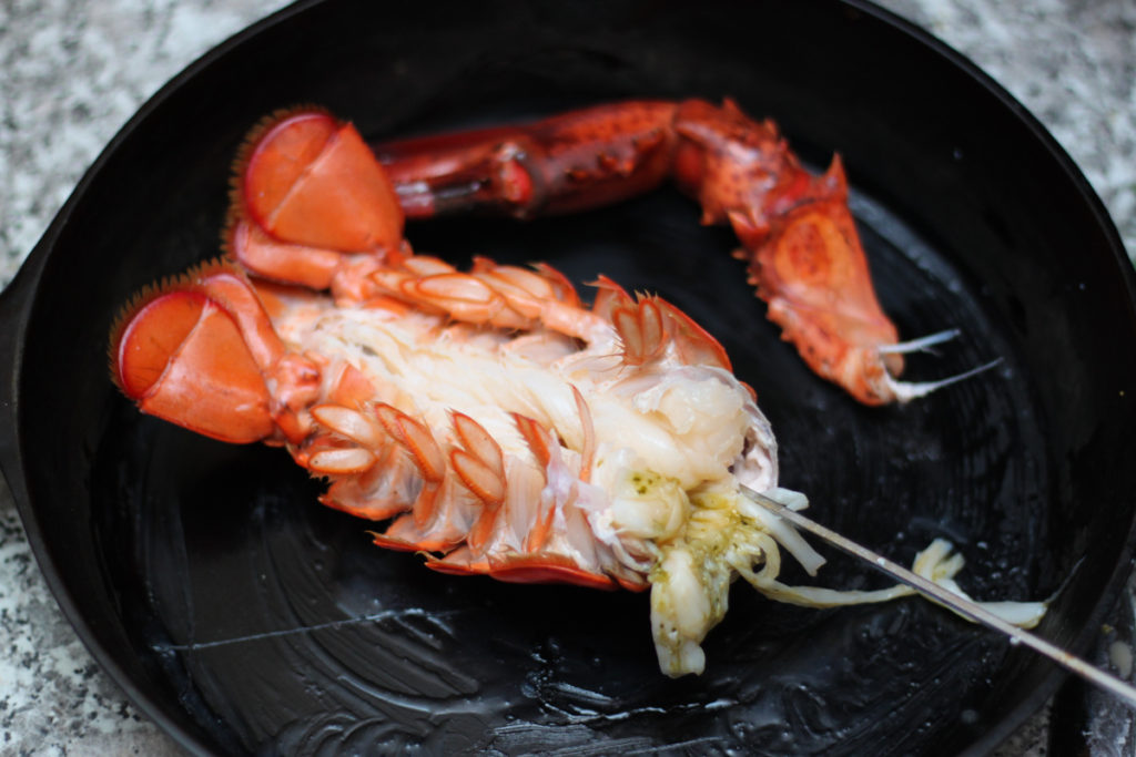 Seafood Recipes: Cooking a Live Lobster Humanely – Delicious fresh lobster dinner makes an interesting family activity that centers on where food comes from and exploring new flavors