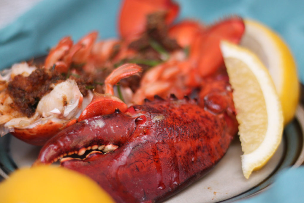 Seafood Recipes: Cooking a Live Lobster Humanely – Delicious fresh lobster dinner makes an interesting family activity that centers on where food comes from and exploring new flavors