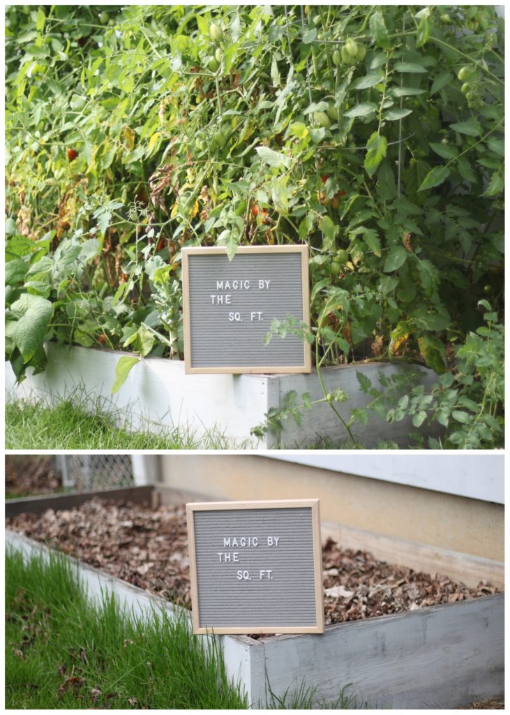 DIY Raised Garden Bed - Build an easy veggie garden for the backyard - Midkid Mama Blog