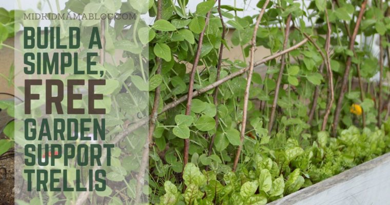 Building a Free and Natural Garden Support Trellis