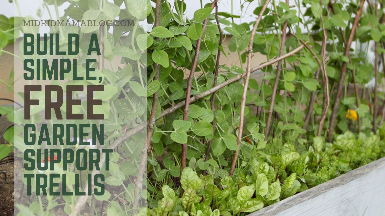 Building a Free and Natural Garden Support Trellis - MidKid Mama