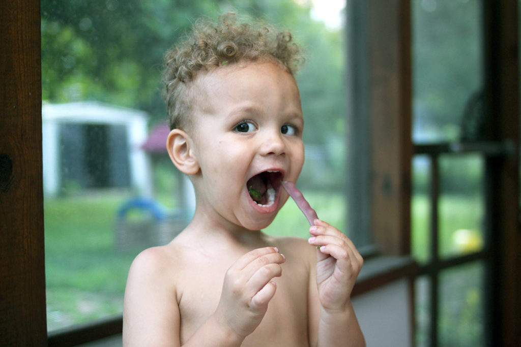 The Art of Healthy Snack Time - Powerful Habits for Little Kids - early foods encouraging new tastes MidKid Mama Blog