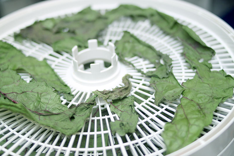 Swiss dehydrator