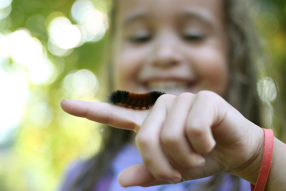 Finding bugs or other items outside with your kids for full collections and exploration