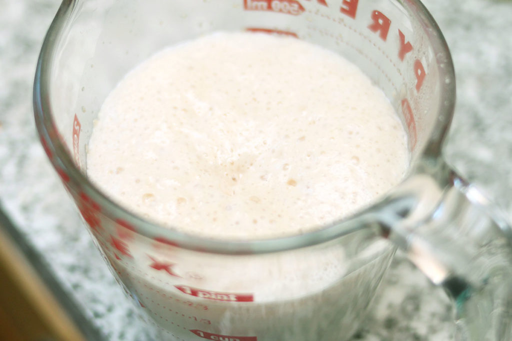 warm milk and activating yeast for perfect homemade dinner rolls